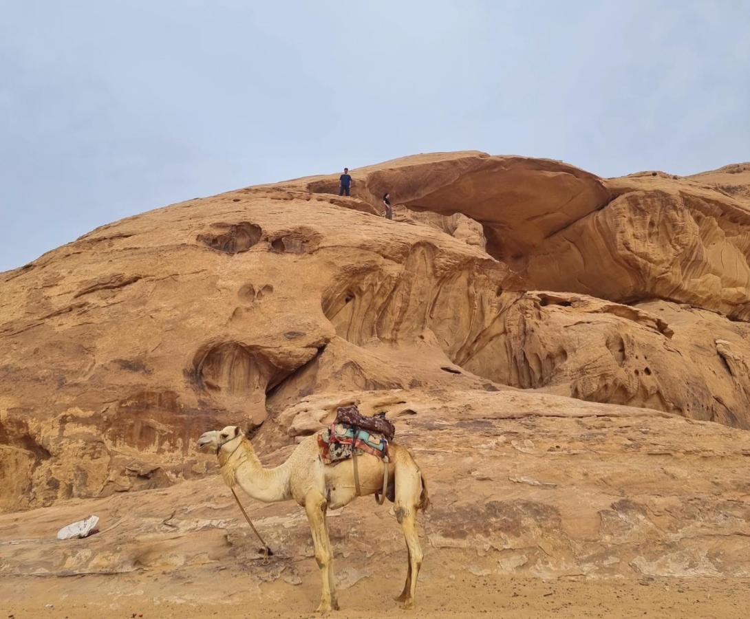 Wadi Rum Hugo Camp Экстерьер фото