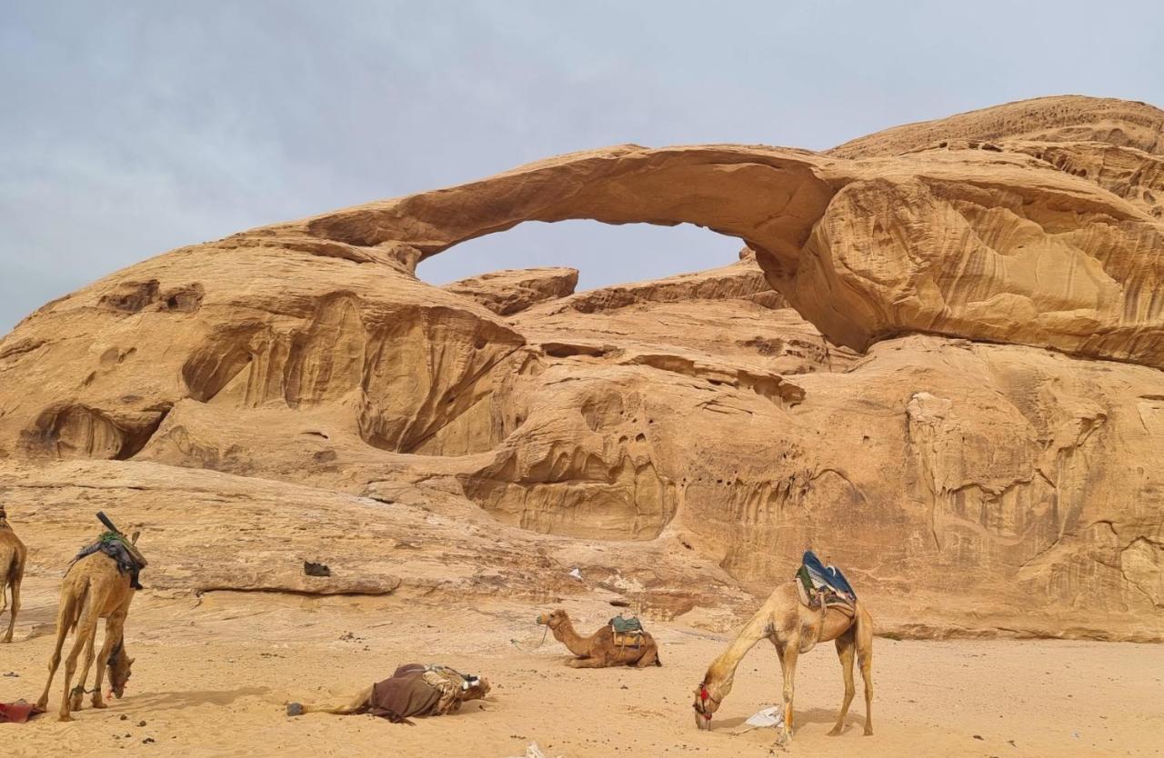 Wadi Rum Hugo Camp Экстерьер фото